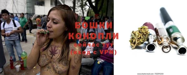 прущие крисы Белокуриха