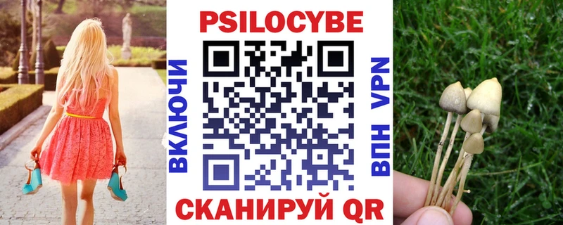 Псилоцибиновые грибы прущие грибы  Верхний Уфалей 