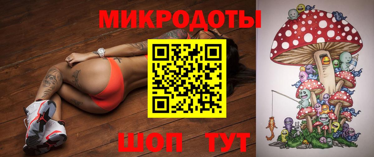 Галлюциногенные грибы Psilocybine cubensis  Галлюциногенные грибы прущие грибы  Верхний Уфалей 